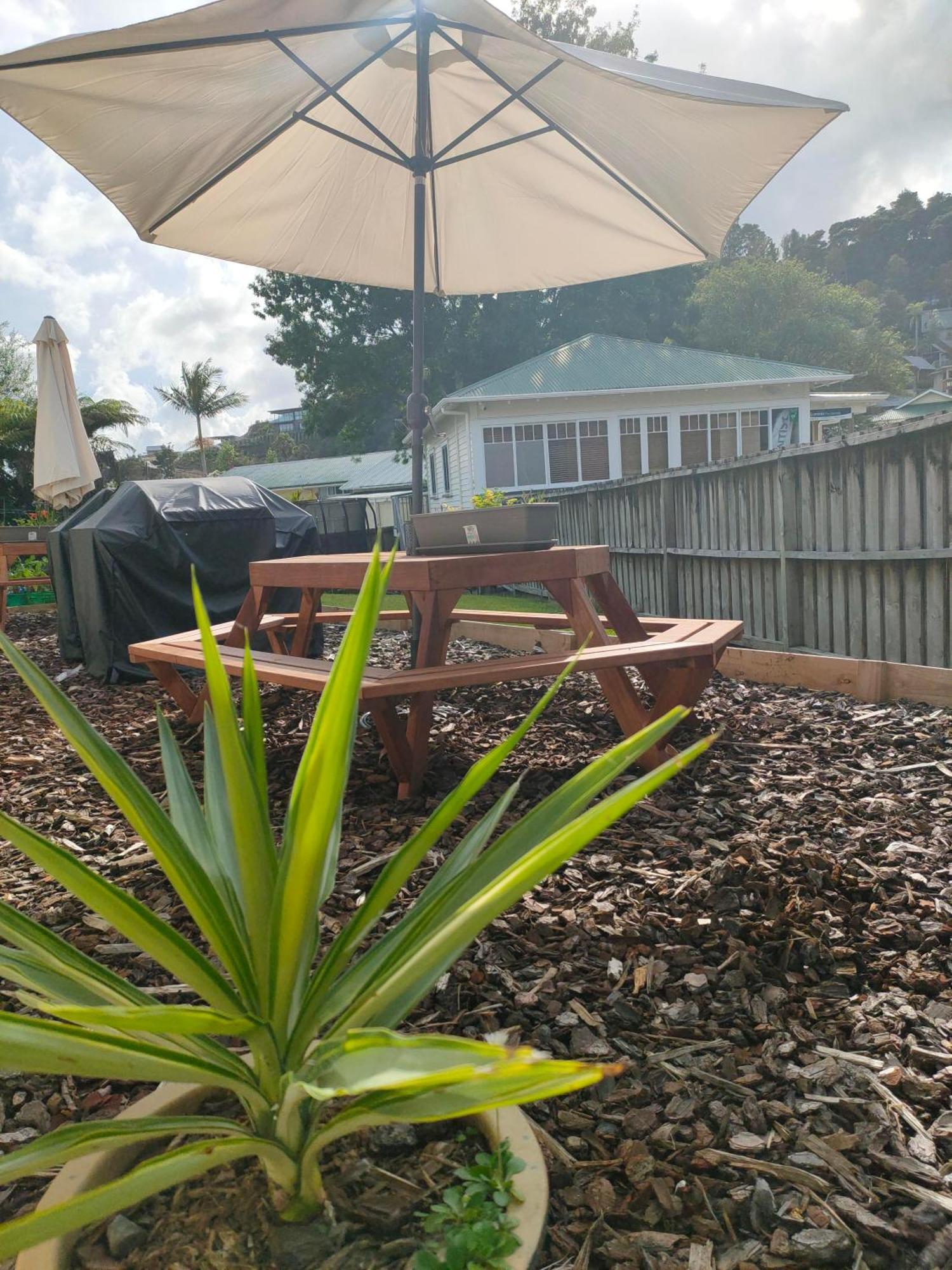 Aarangi Tui Paihia