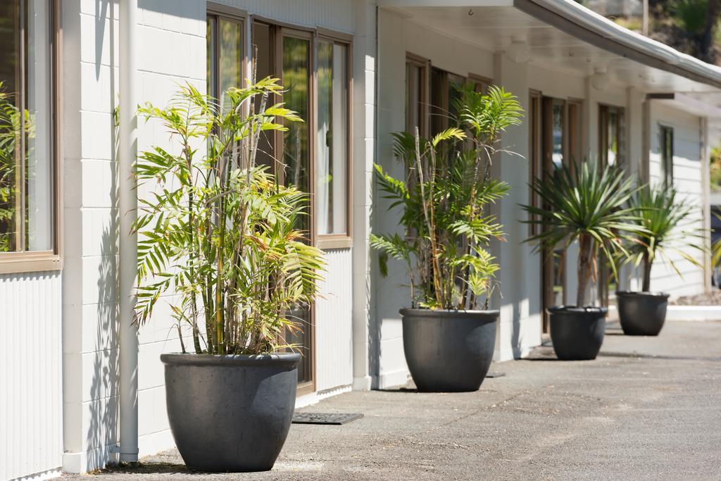 Aarangi Tui Motel 3*
