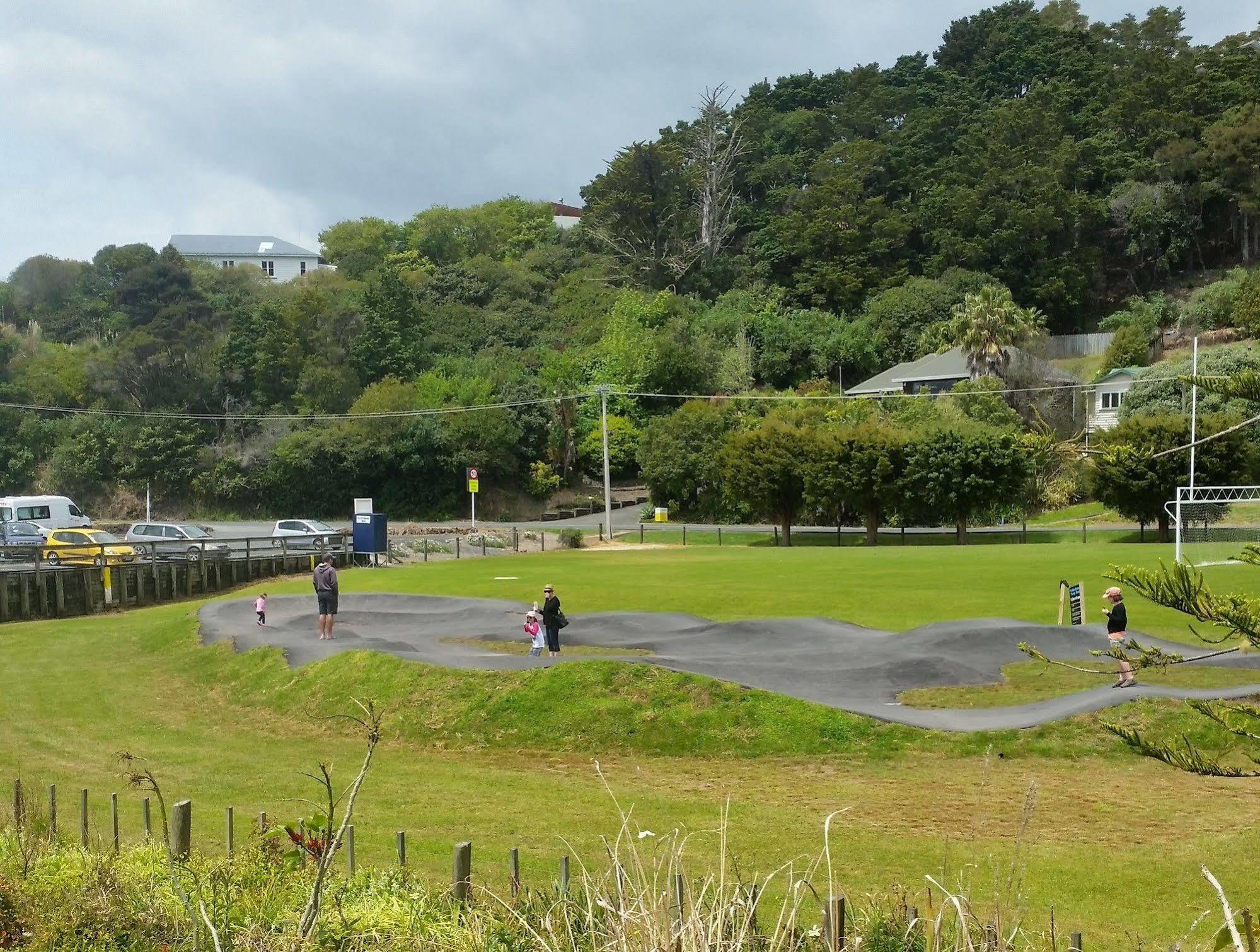 Aarangi Tui